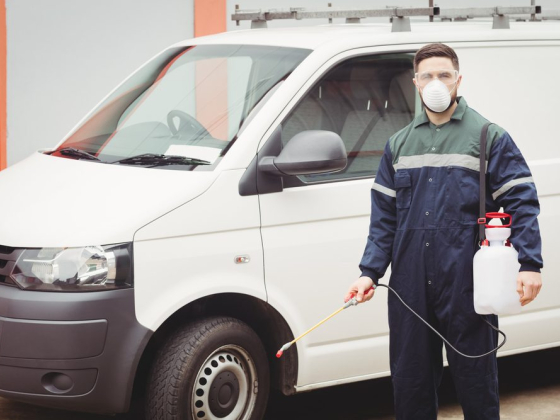 Bed Bug Exterminator Columbus