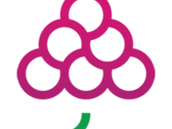 IT Consultancy Services | Software Development Company