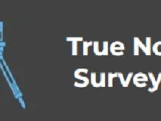 True North Surveyor