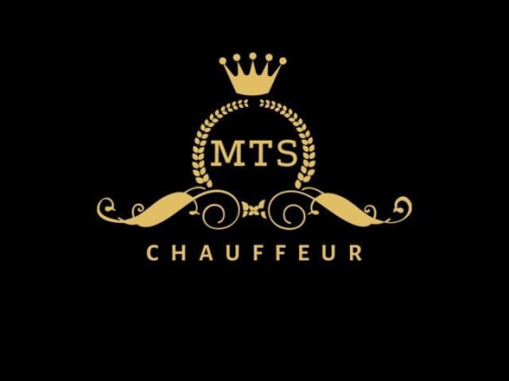 Mehdi Travel Services Limited