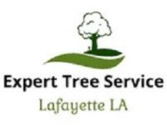 Lafayette LA Tree Service Pros