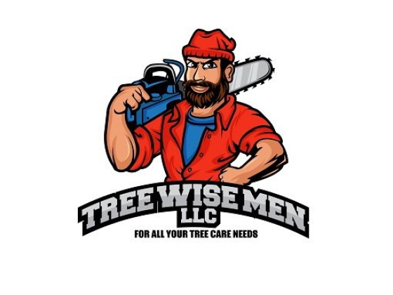 Tree Wise Men LLC