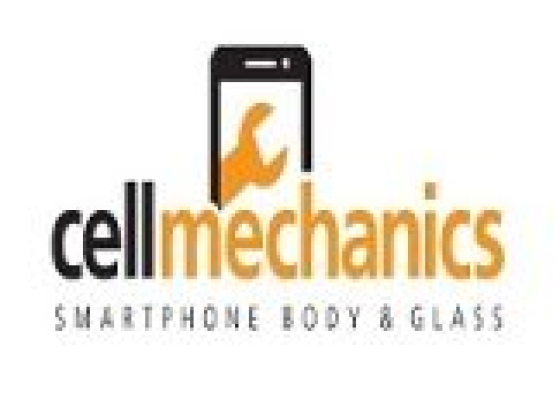 Cell Mechanics