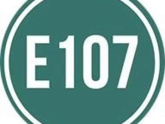 Elevation 107