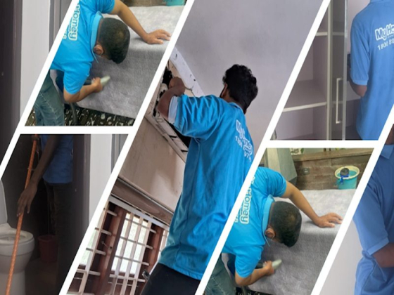 MyHomey Cleaning & Repair Service