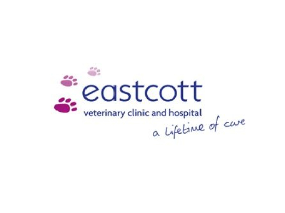 Eastcott Vets Clinic & 24 hr Vet Hospital - Edison Park Swindon