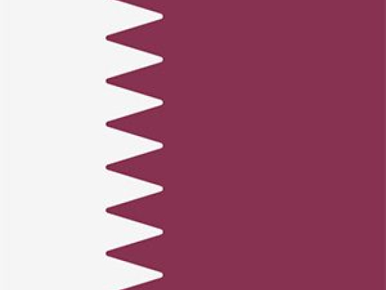 onlinecasinosqatar.com