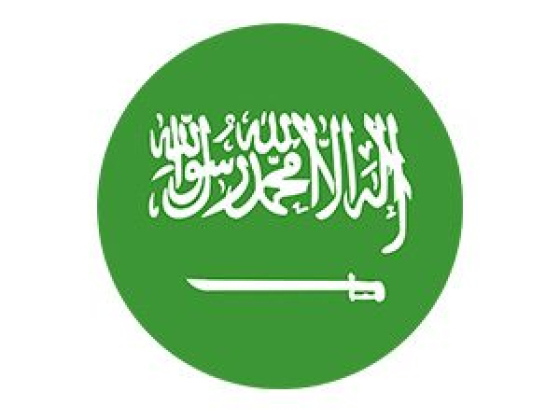 saudiarabiaonlinecasinos.com
