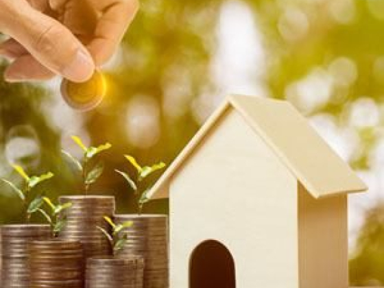 Maximum Property Solutions