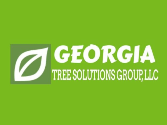 Georgia Tree Solutions Group LLC