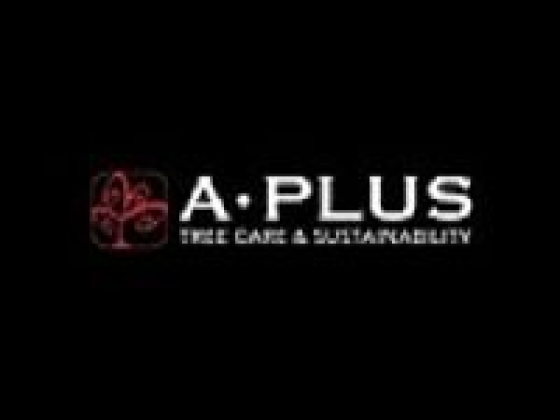 A Plus Tree, LLC