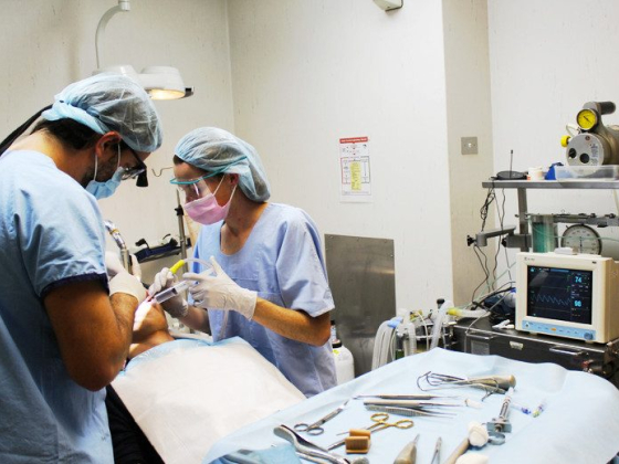 WISDOM TEETH REMOVAL Sydney Professionals