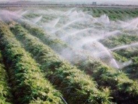Buy High Quality Perth Irrigation Supplies