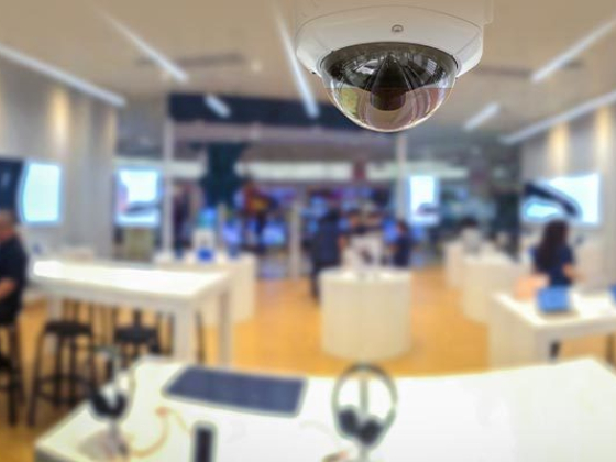 Dallas Security Systems, Inc.