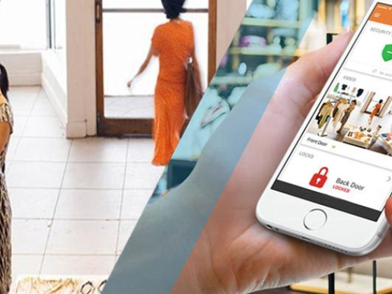 Dallas Security Systems, Inc.