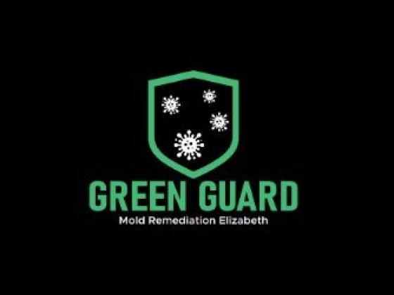 Green Guard Mold Specialist Elizabeth