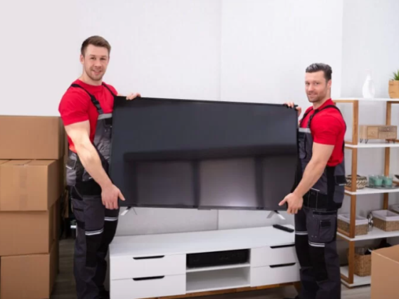 Summerlin Movers