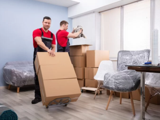 Summerlin Movers