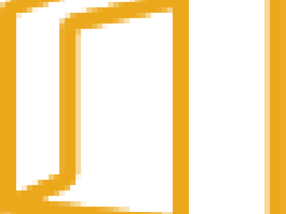 Image IT