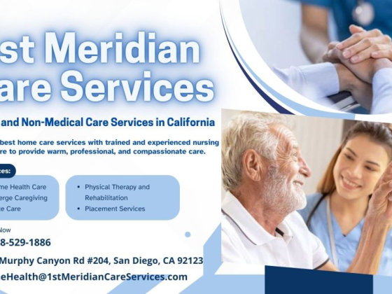 1st Meridian Care Services