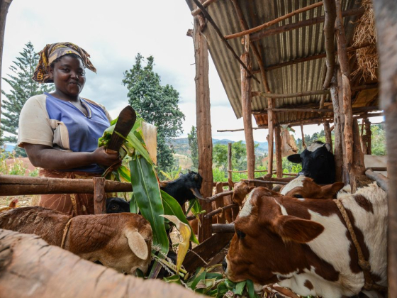 Life Style Farmers