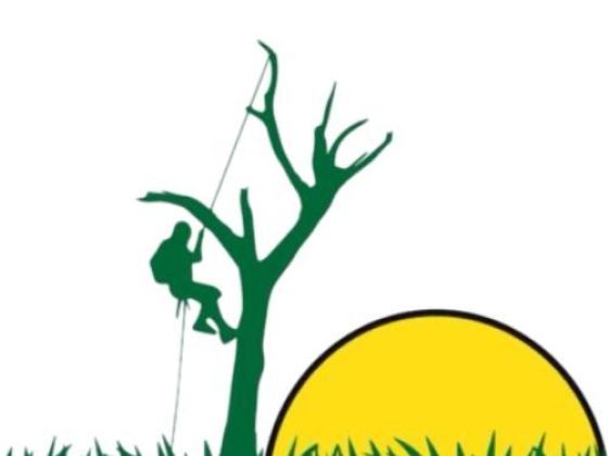 Luca Tree Service