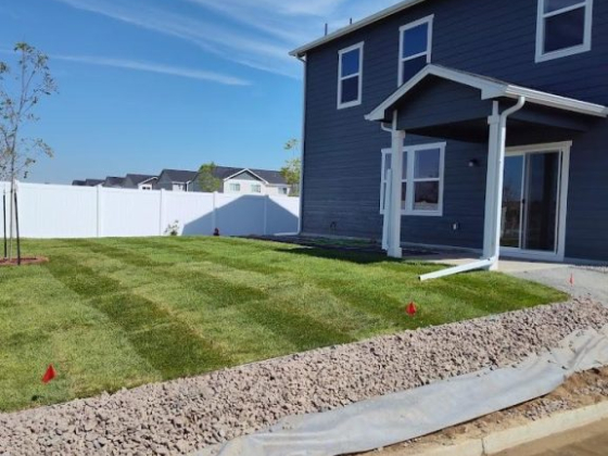 Ape Scapes Landscaping