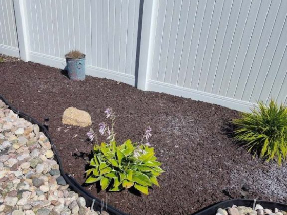 Ape Scapes Landscaping
