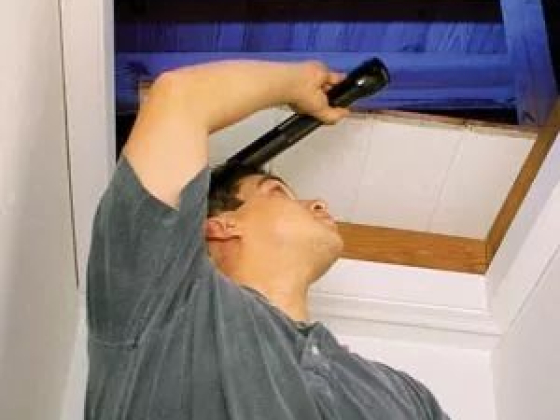 Certified Mold Removal Inc.