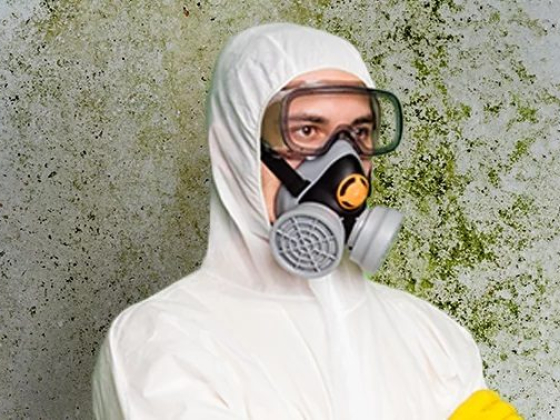 Certified Mold Removal Inc.