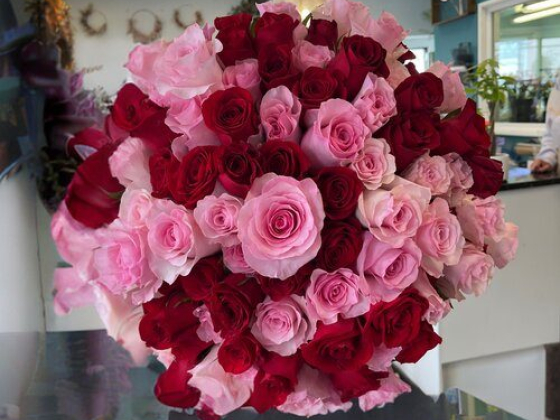 Le Bouquet Floral – Flowers Delivery Calgary