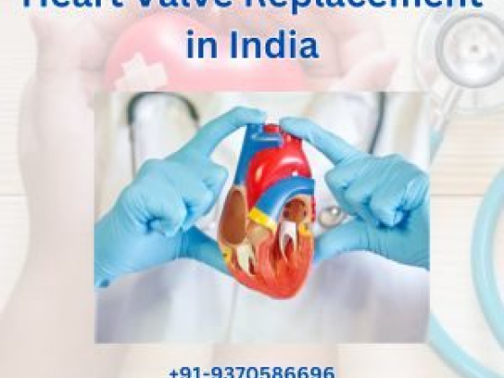 Affordable heart valve replacement in India