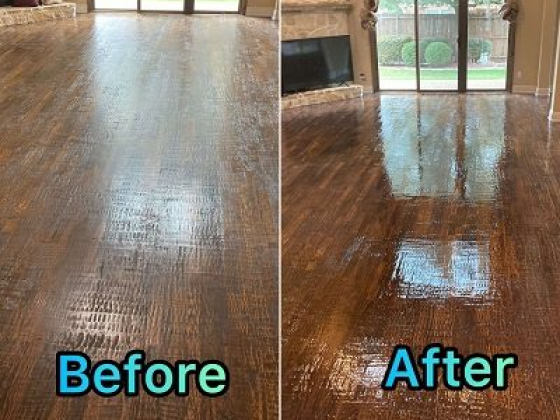 Best Carpet Care