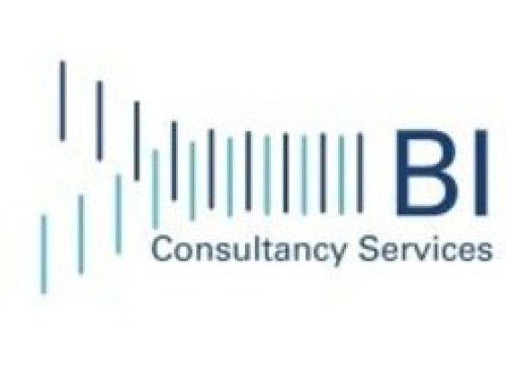 BI Consultancy Services