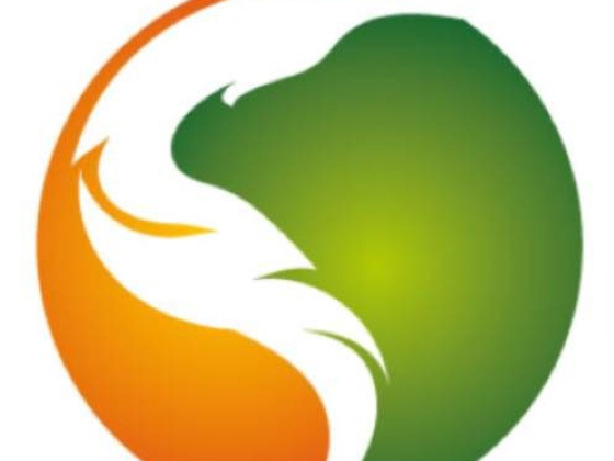Sidhu Painting & Decorating Ltd | Best Painters in Calgary