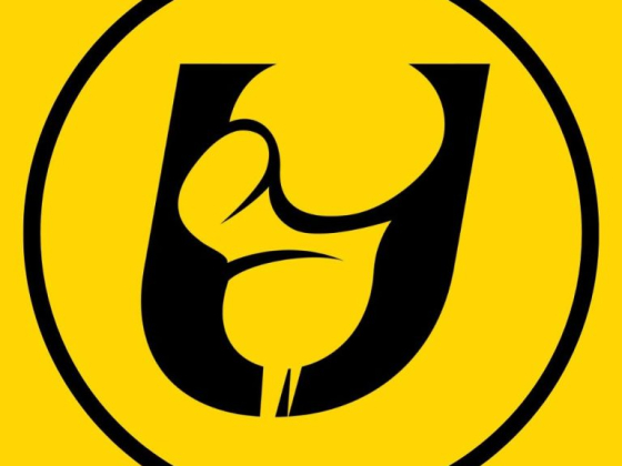 Uppercut Digital Agency Sydney