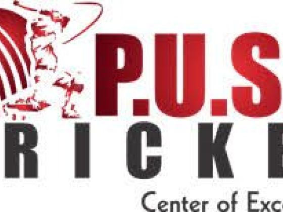 Push Sports Arenas Pvt Ltd