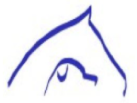 Chirovet Wales