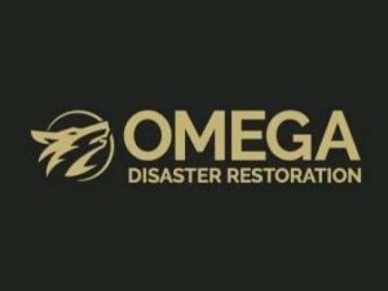 Omega Disaster Restoration Lynchburg VA