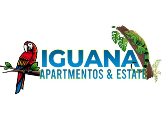 Iguana Apartmentos And Estate