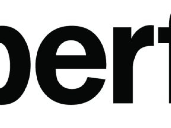 Bizperfect