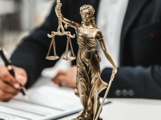 EMP LAW