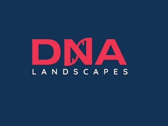 DNA Landscapes