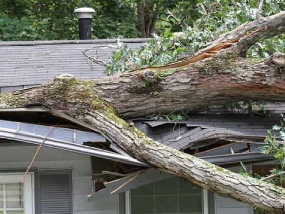 Maher Water Damage Cleanup & Mold Removal