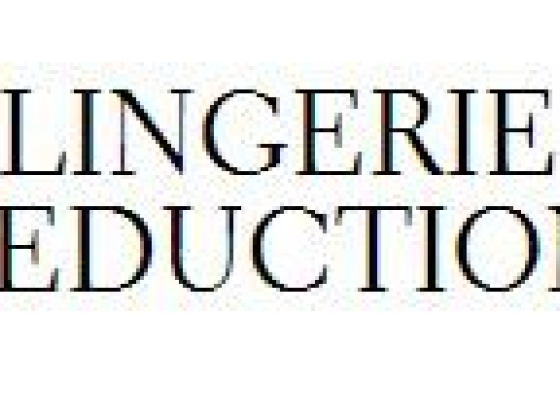 LINGERIE SEDUCTION