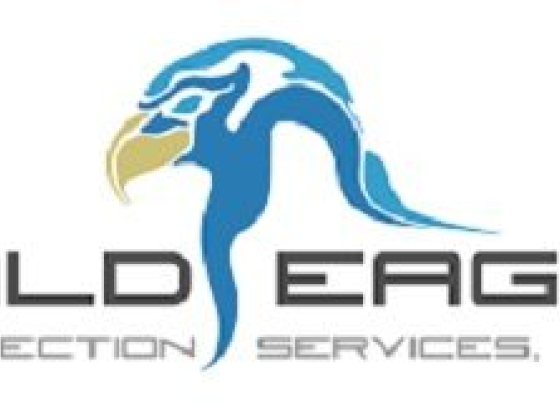 Bald Eagle Inspection Services