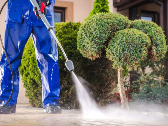 Shark pressure washing