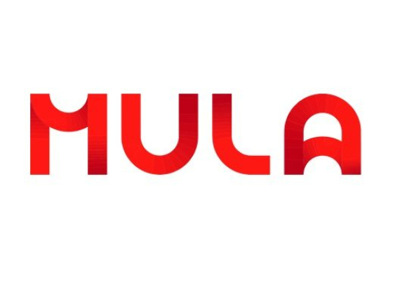 MULA-X HOLDING