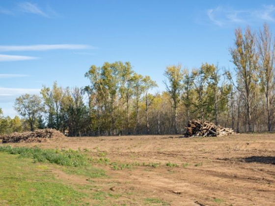 ALPHA PRO LAND SERVICES