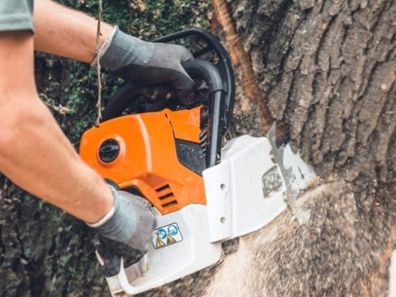 ALPHA PRO LAND SERVICES
